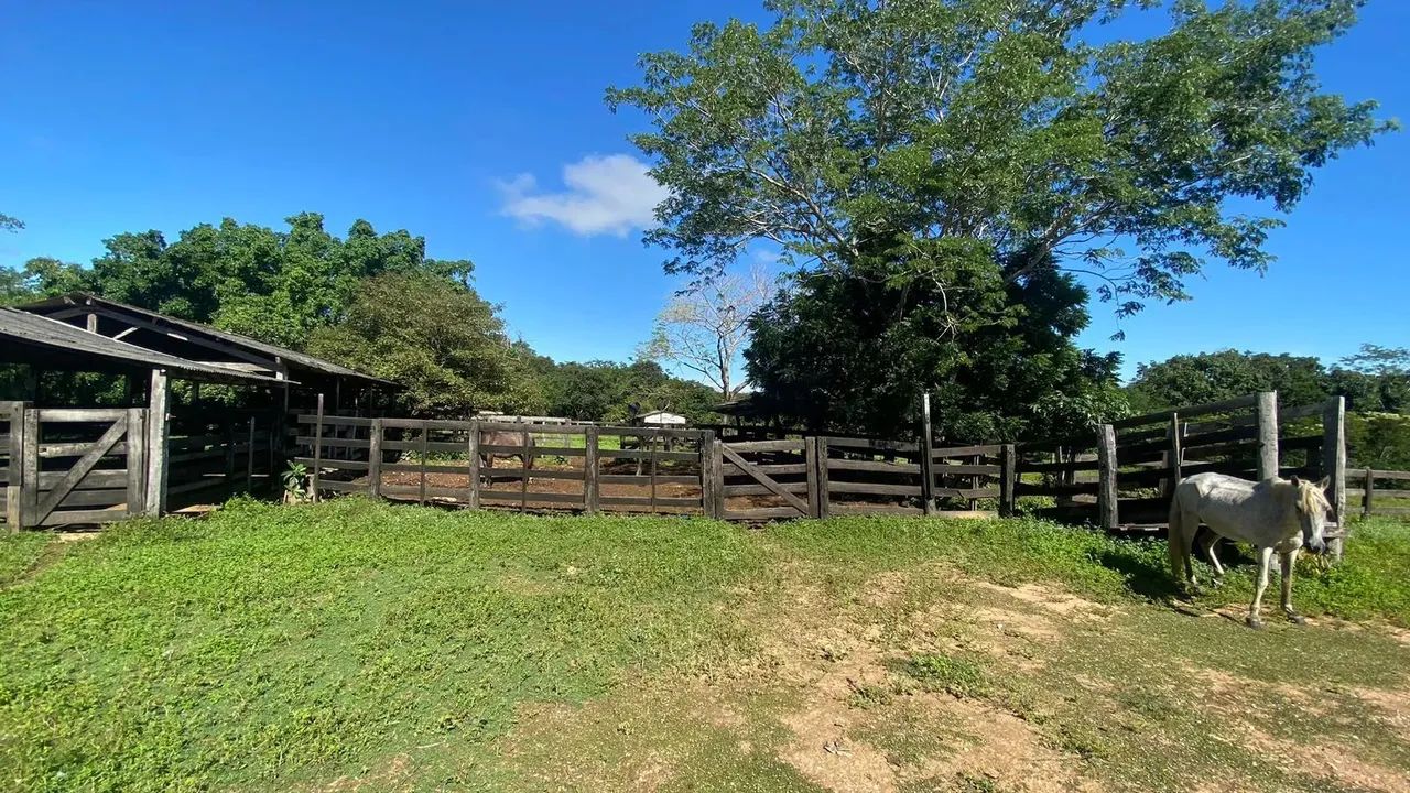 Sitio Para Confinamento - Haras
