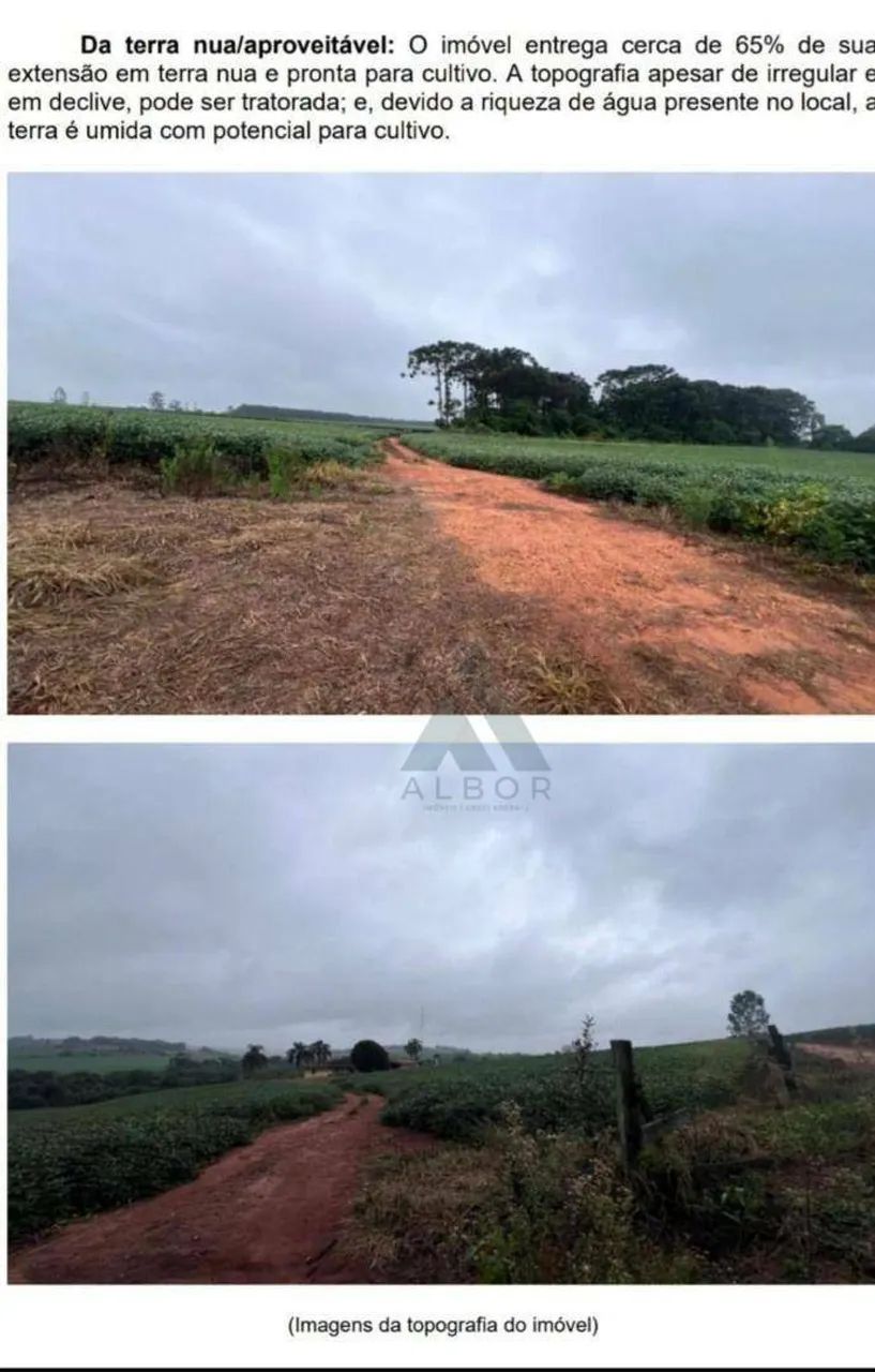 16 hectares em CAPÃO BONITO - Foto 4