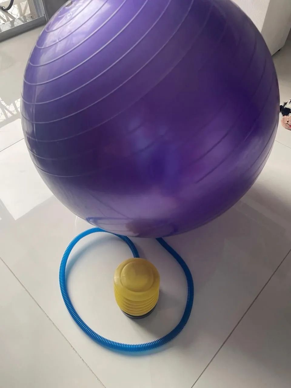 Bola de Pilates