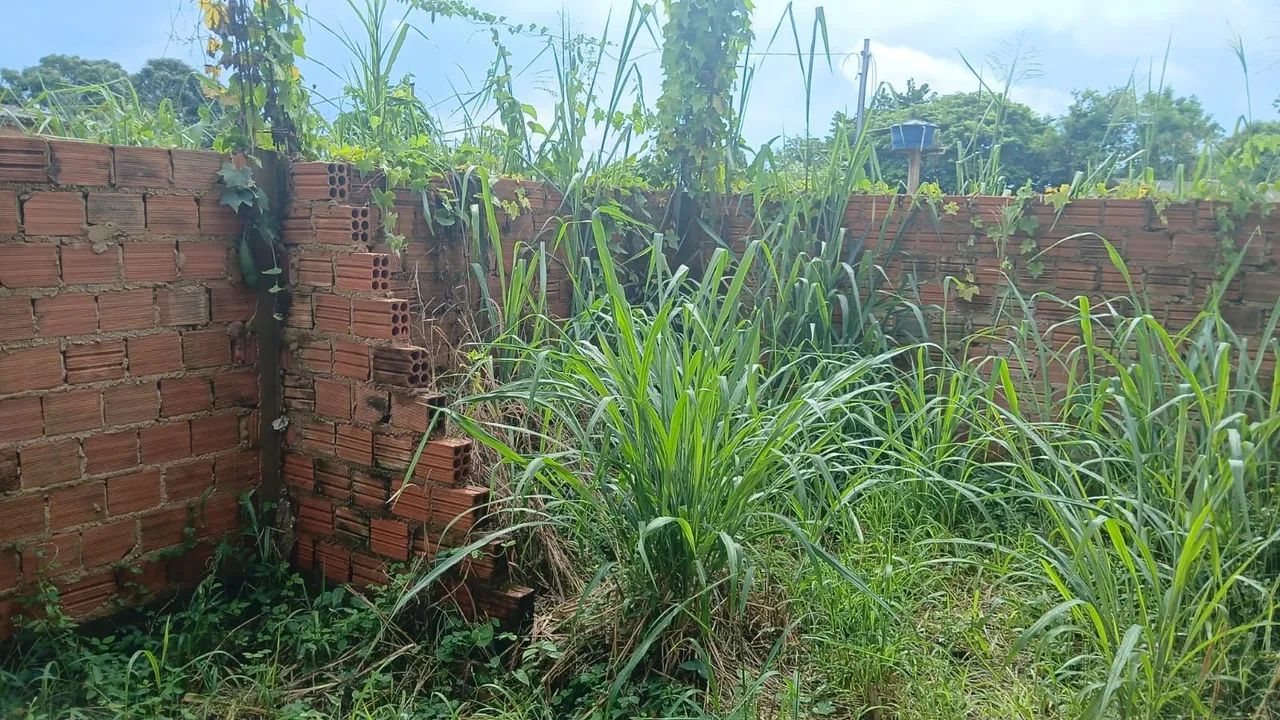 Vende-se terreno - Foto 2