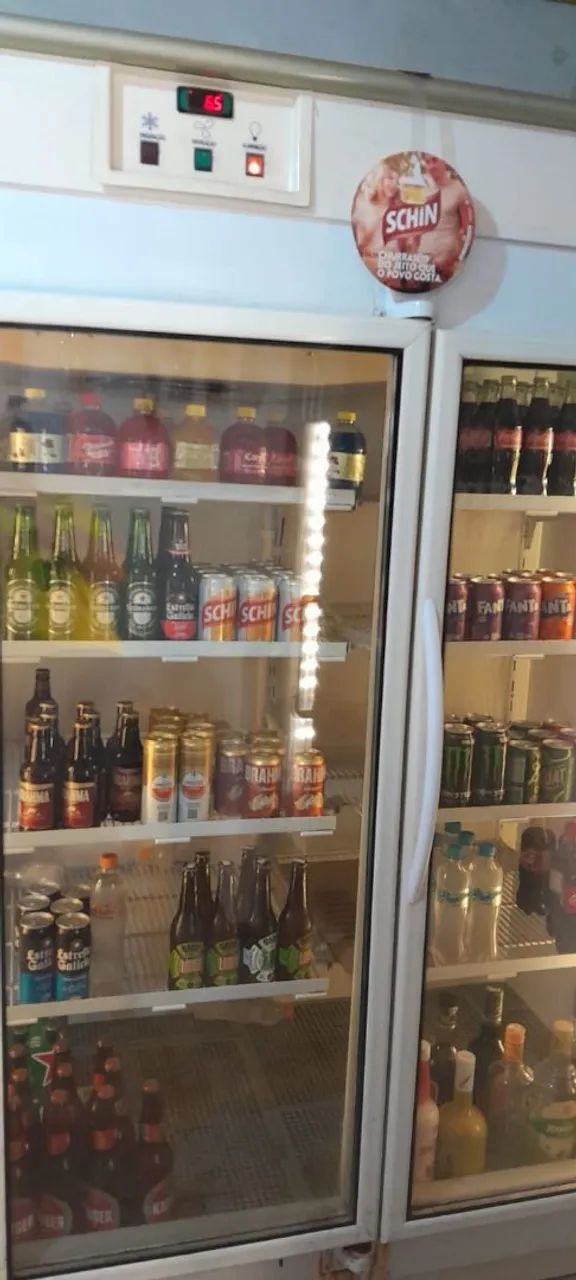 Freezer expositor vertical