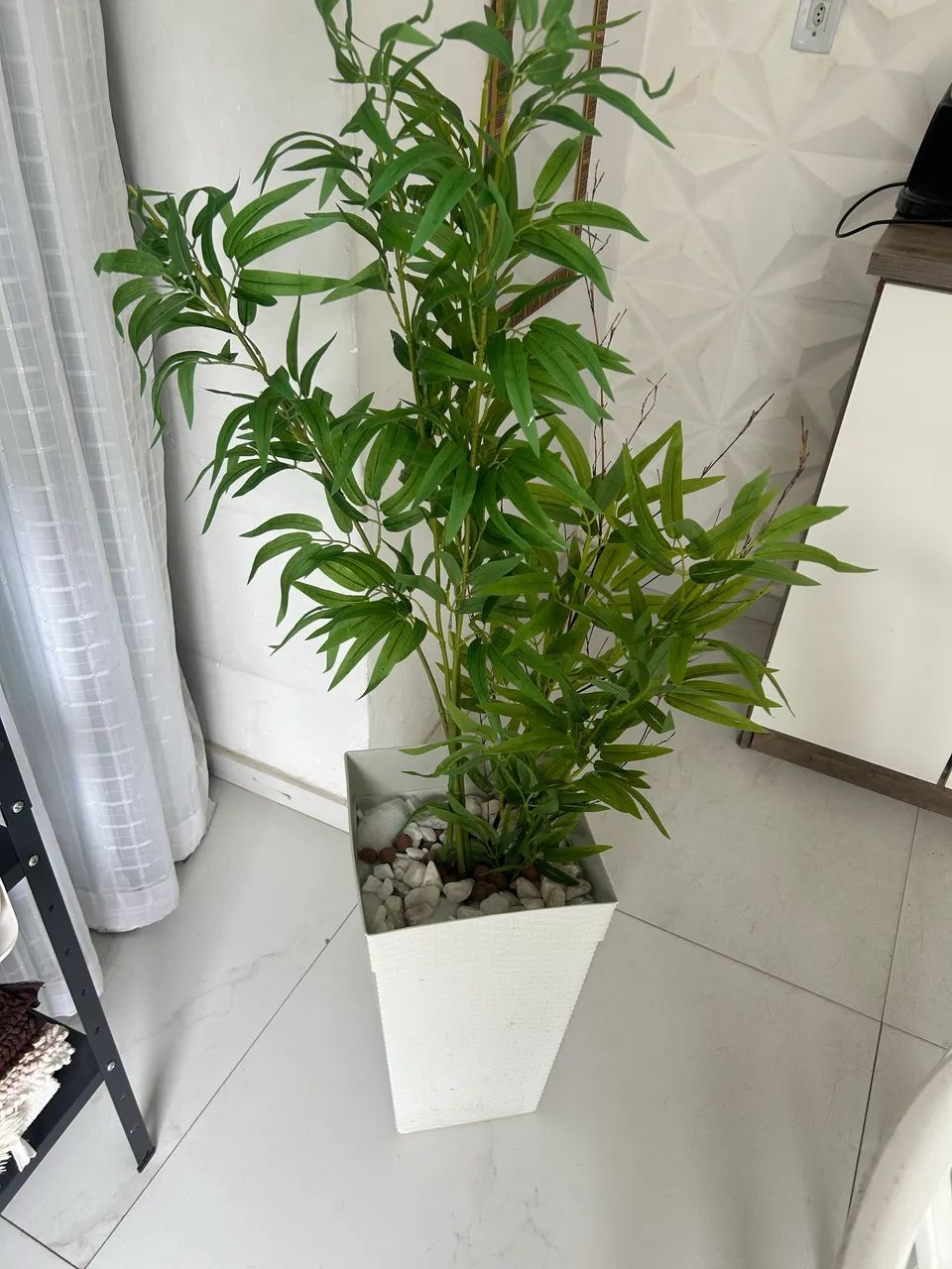 Vaso com planta - Foto 2