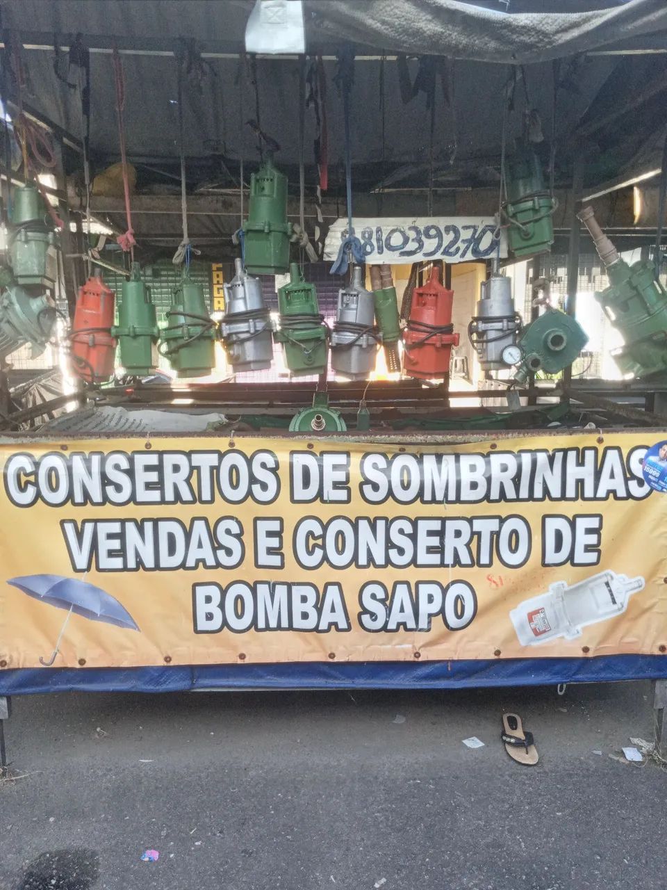 Bomba sapo