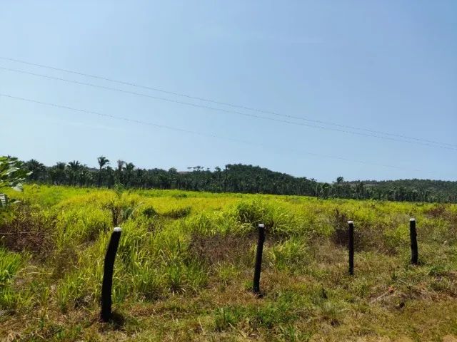 Fazenda em Vargem Grande do Maranhão - Foto 3