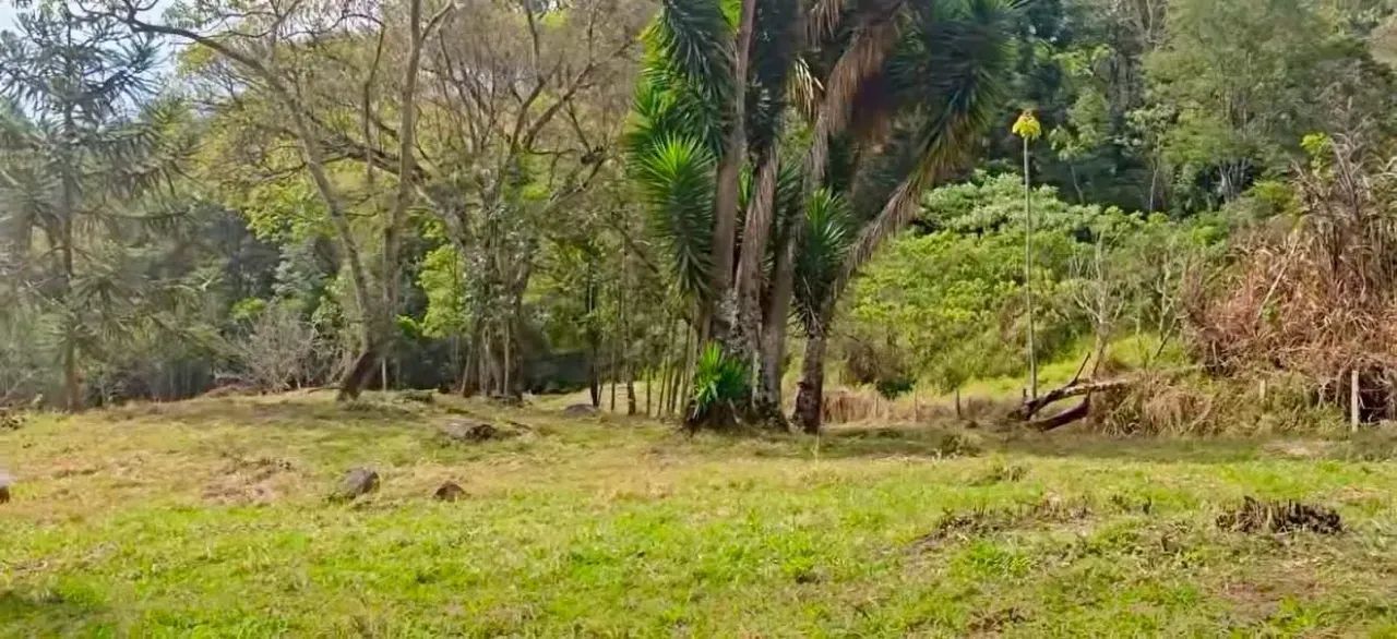 PROMOÇÃO DIA DOS PAIS  PARTE 7 | CAMBUÍ/MG - Foto 3