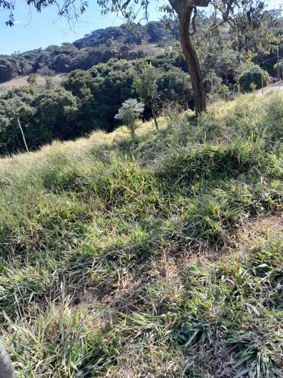LOTE BEIRA ASFALTO - Foto 4