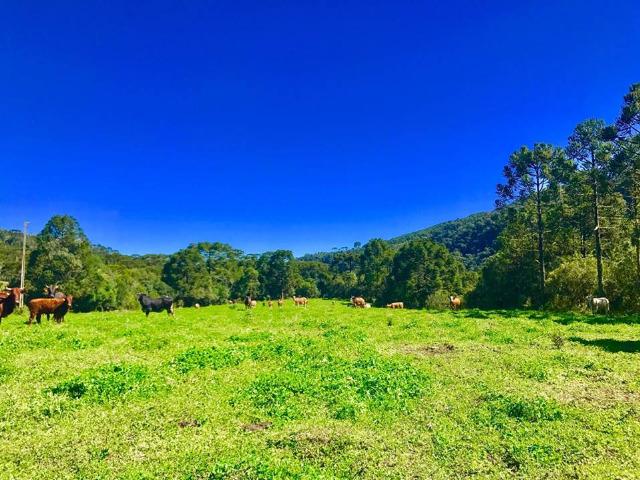 Chácara com rio em Urubici - Foto 5