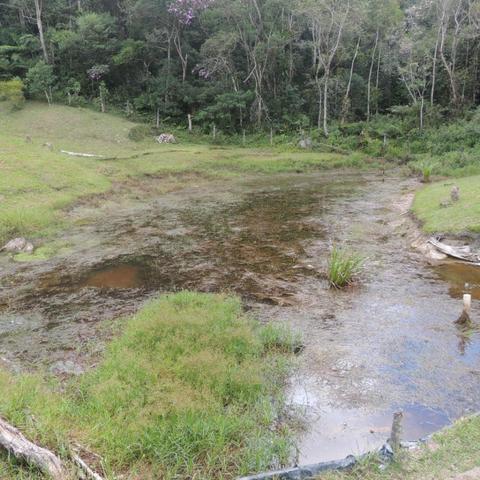 Chacara com piscina e lago - Foto 14