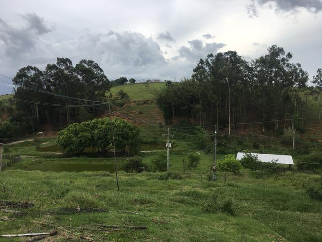 Sítio com 4 alqueires em Caxeta - Foto 13