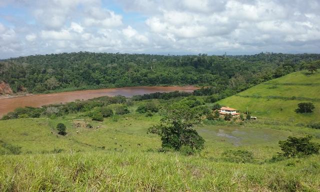 36 hectares na região pingo dagua - Foto 2
