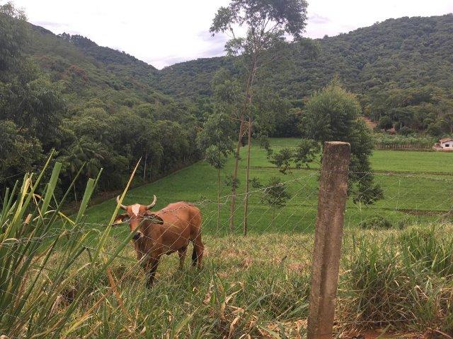 Chácara Na Caixa D´Água em Guaramirim - Foto 11
