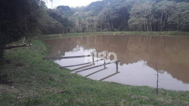 Excelente chácara com casa à venda - são josé dos pinhais! - Foto 12