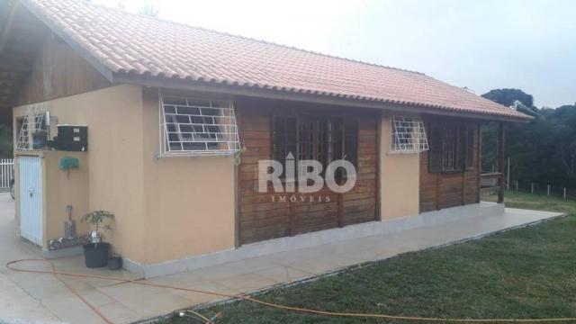 Excelente chácara com casa à venda - são josé dos pinhais! - Foto 7