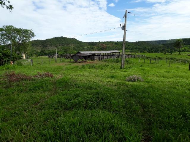 Fazenda c/ 912he, 550he formados, Terra boa, Itiquira-MT - Foto 18