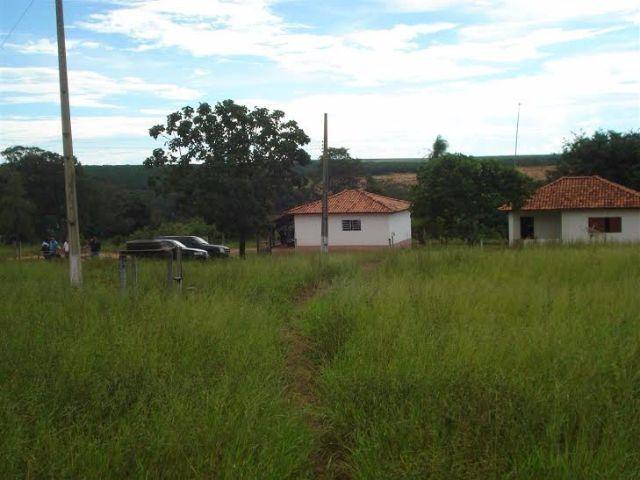 Fazenda c/ 7.180he c/ 80% formado, dupla aptidão, Ouro Branco-MT - Foto 2