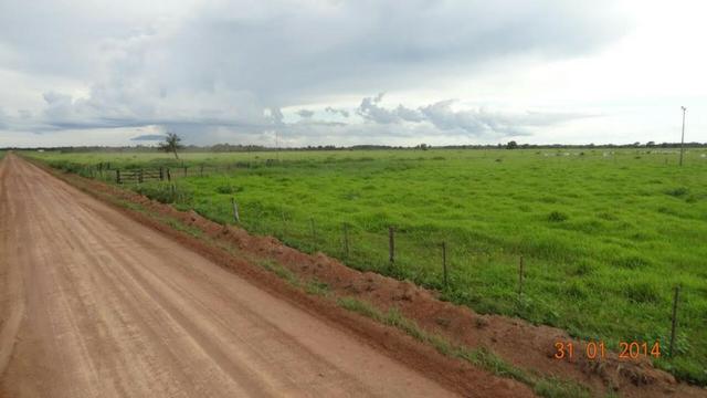 Fazenda c/ 4.500he, C/ 80% aberto, parte faz lavoura, Nova Xavantina-MT - Foto 4