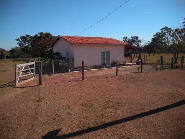 Fazenda c/ 920he, com 600he formados, as margens da BR, a 35km de Cuiabá-MT - Foto 8