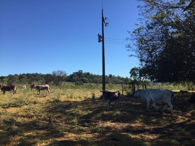 Fazenda c/ 570he, c/ 90% aberto/juquirado, 8km de Itiquira-MT, entrada + 4 parcelas - Foto 15