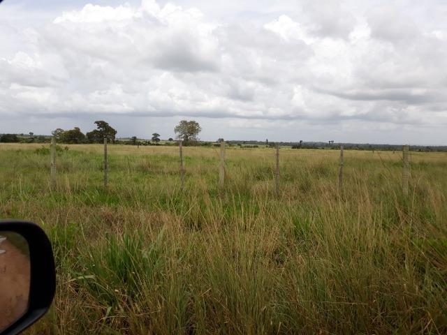Fazenda 5.993 Hectares Dupla Aptidão - Vila Rica - MT - Foto 4