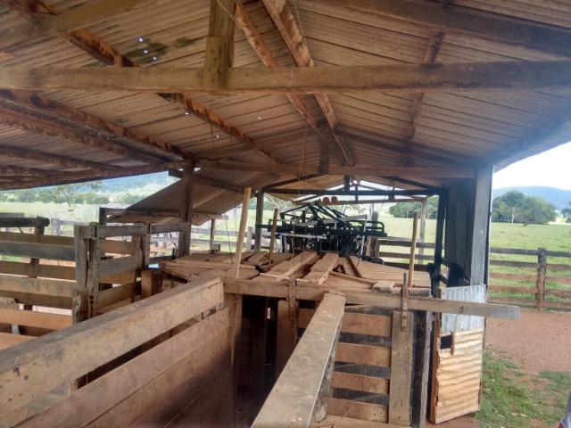 Fazenda 570 Hectares Grande Oportunidade - MT - Foto 11