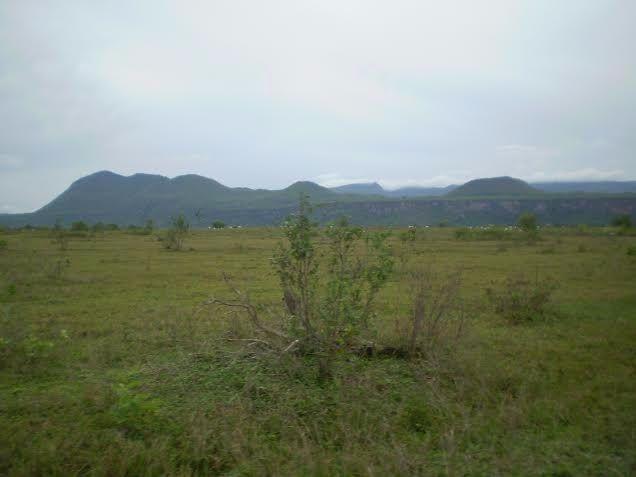 Fazenda c/ 7.615he c/ 4.200he formados, as margens da BR, Caceres-MT