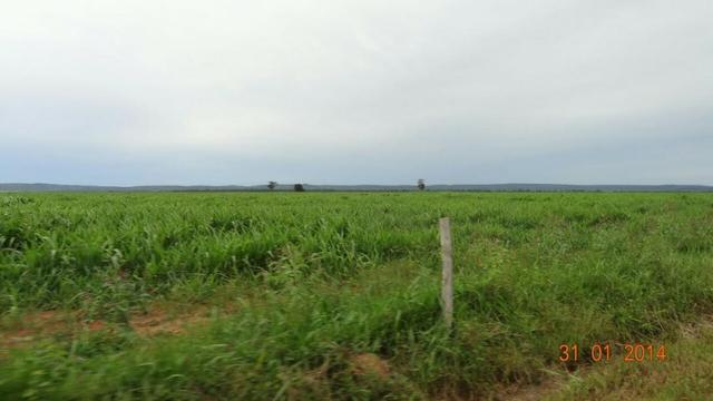 Fazenda c/ 4.500he, C/ 80% aberto, parte faz lavoura, Nova Xavantina-MT - Foto 5
