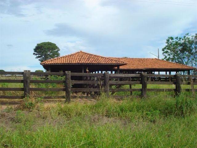Fazenda c/ 7.180he c/ 80% formado, dupla aptidão, Ouro Branco-MT - Foto 3