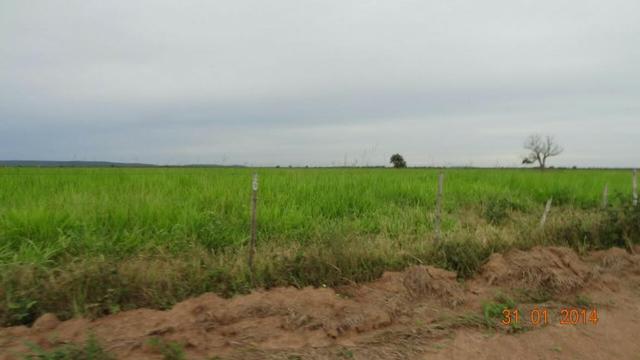 Fazenda c/ 4.500he, C/ 80% aberto, parte faz lavoura, Nova Xavantina-MT - Foto 3