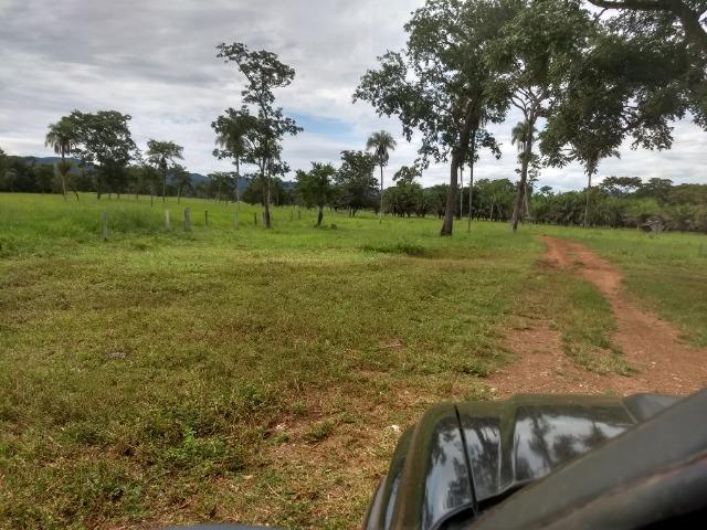 Fazenda com 200he, c/ 50% formado, terra de cultura, 40km de Cuiabá-MT - Foto 19