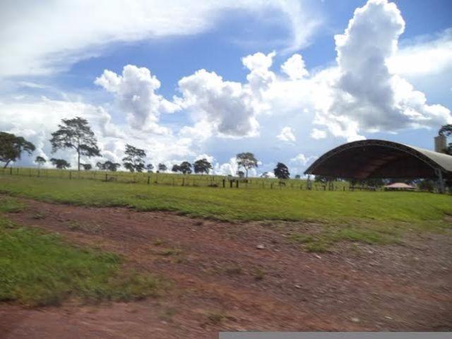 Fazenda c/ 3.480he c/ 80% formada, as margens da BR, Rondonópolis-MT - Foto 15