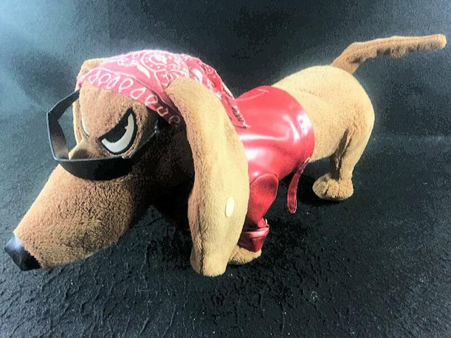 Cachorro "Badboy" Que Canta e Dança