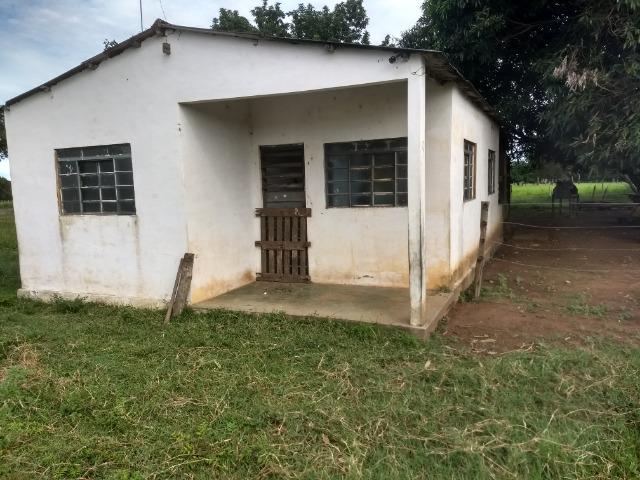 Fazenda com 200he, c/ 50% formado, terra de cultura, 40km de Cuiabá-MT - Foto 3