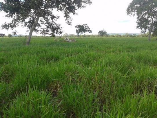 Fazenda c/ 3.540he c/ 2.840he aberto/formados, a 28km de Cuiabá-MT - Foto 7