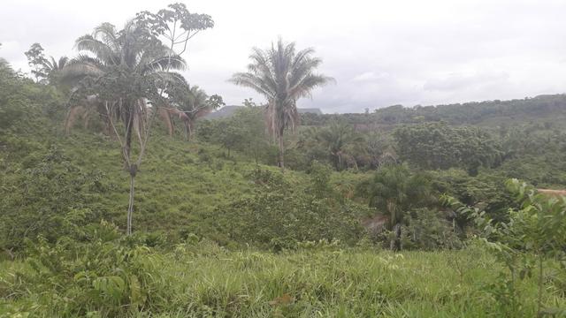 Vende se uma terra - Foto 3