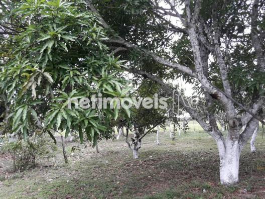 Terreno à venda em Fazenda, São gonçalo dos campos cod:720362 - Foto 11