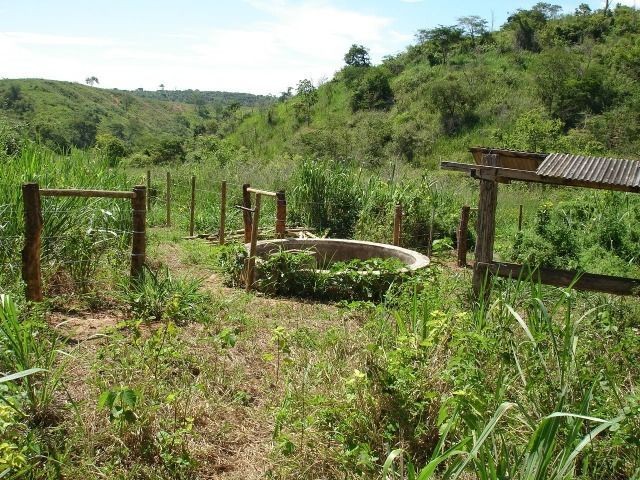 Fazenda 484 hectares em Governador Valadares/MG - Foto 9
