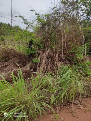 Fazenda em Aldeias Altas-Ma - Foto 5