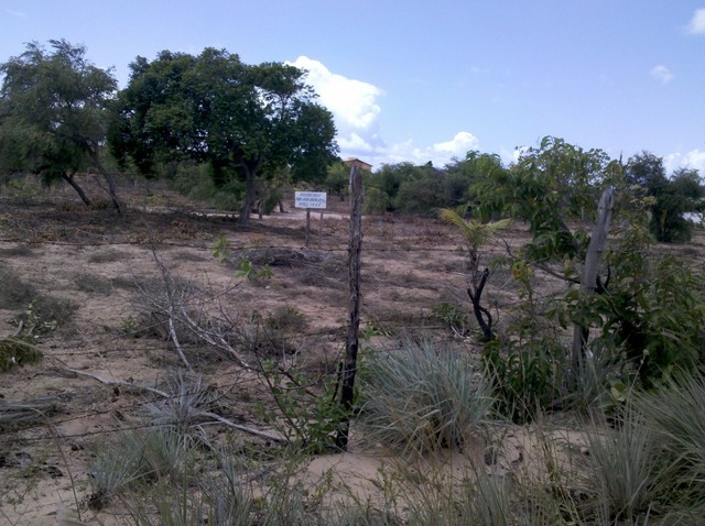 Vendo Lotes em Pium RN - Foto 2