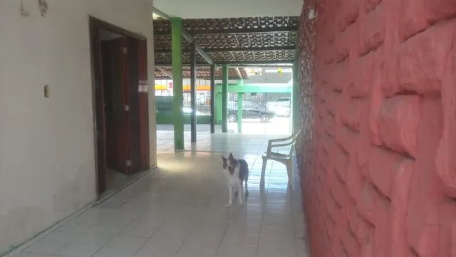 Casa  Comercial com - 405m2   de terreno e 280m2  de construção - Foto 2