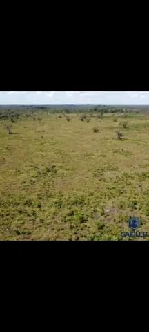 Fazenda 86.580 hectares em São Félix do Araguaia  - Foto 6