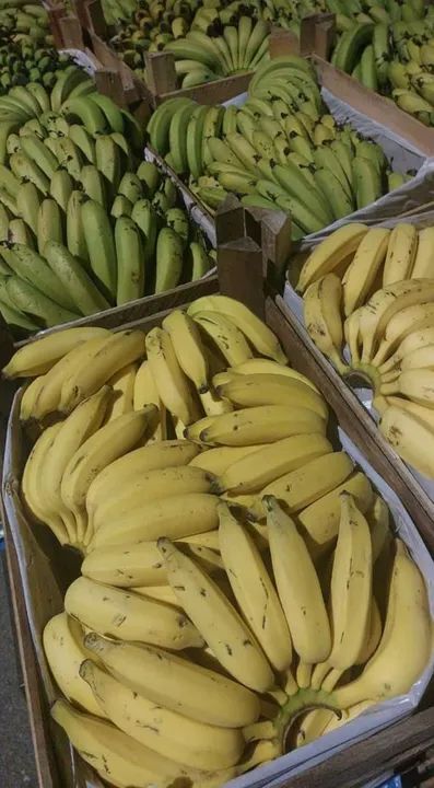 Banana Nanica e Prata