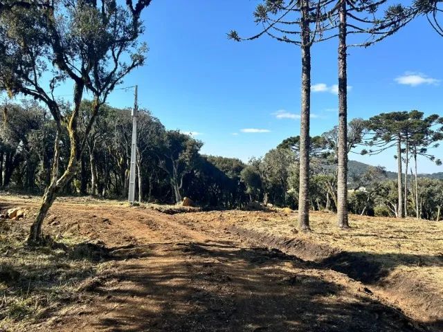 Permuta em Urubici  - Foto 4