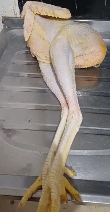 Frango caipira - Foto 2