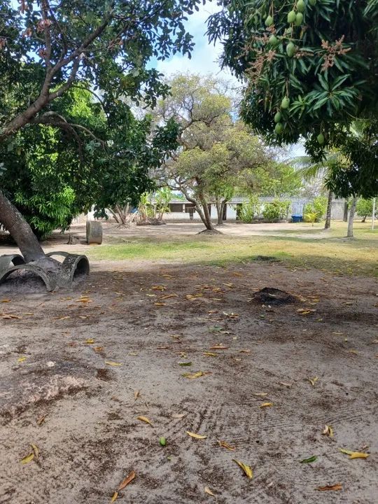 Linda Chácara em Itapissuma - Foto 5