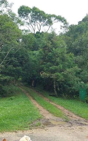 Sítio com 2 dormitórios à venda, 30 m² por R$ 1.500.000,00 - Centro - Angelina/SC - Foto 4