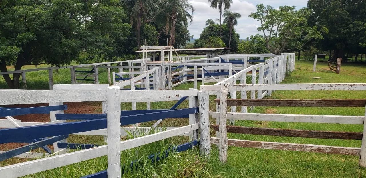 Fazenda campina verde dupla  - Foto 4