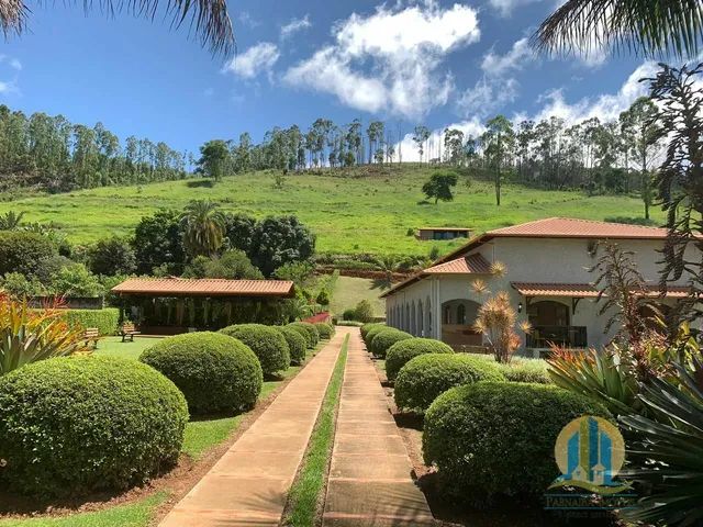 SÍTIO À VENDA  SÃO MIGUEL DO ANTA/MG - Foto 2