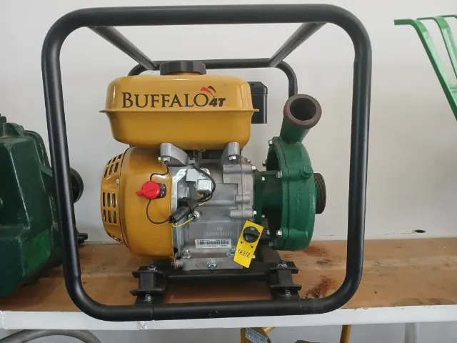 Motobomba de 2 polegadas com motor a gasolina Buffalo 56mca motor 7 HP nova