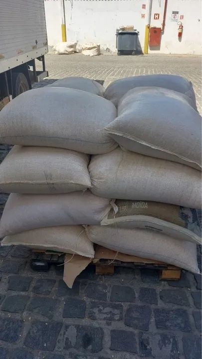 Milho em grãos  - Foto 2