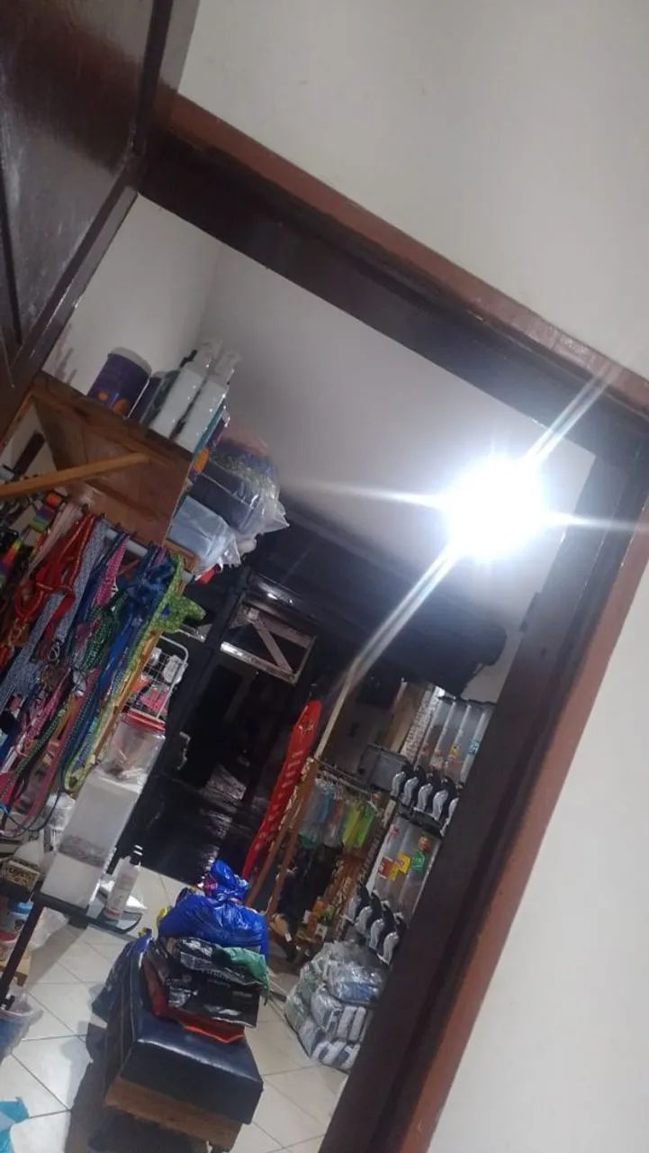Passo uma estrutura de pet shop - R$ 15.000 - Foto 2